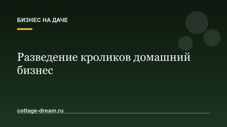 Разведение кроликов домашний бизнес