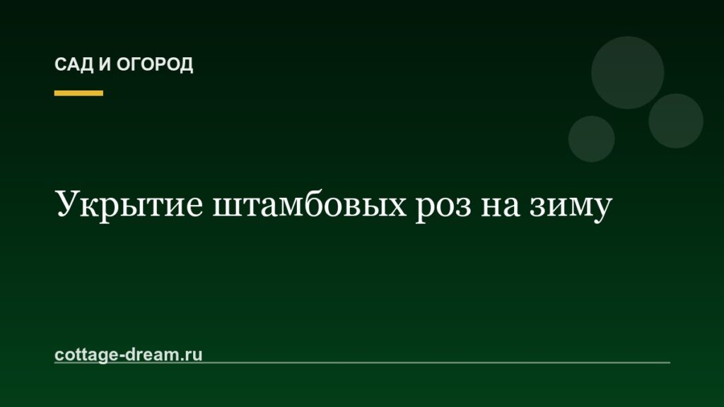 Укрытие штамбовых роз на зиму