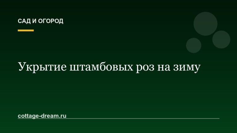Укрытие штамбовых роз на зиму