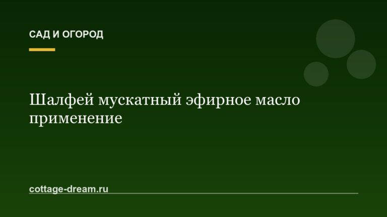 Шалфей мускатный эфирное масло применение
