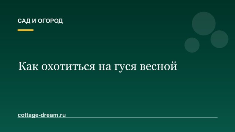 Как охотиться на гуся весной