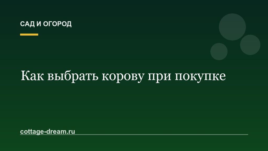 Как выбрать корову при покупке