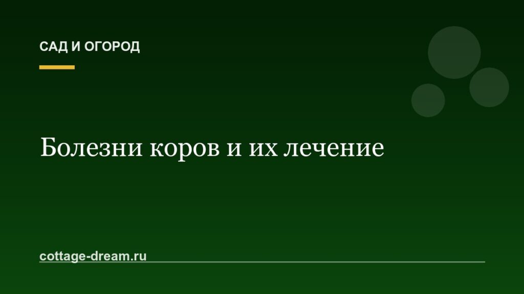 Болезни коров и их лечение
