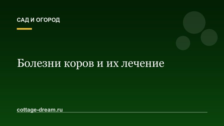 Болезни коров и их лечение