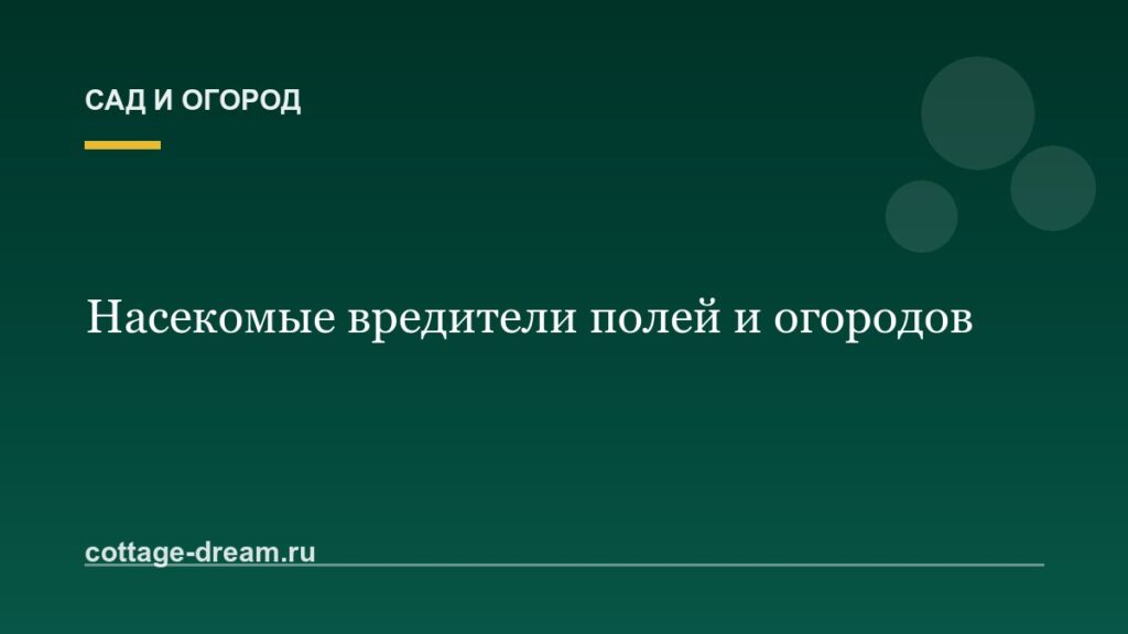 Насекомые вредители полей и огородов: подробное описание