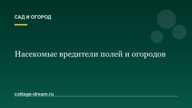Насекомые вредители полей и огородов: подробное описание