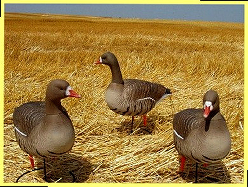 Чучела гусей для охоты