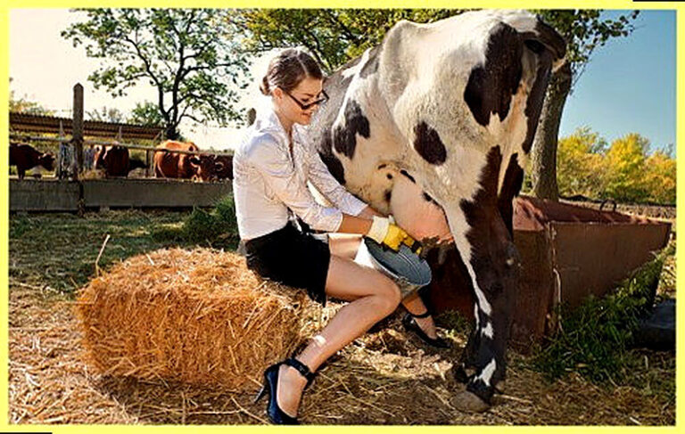 Молочная продуктивность крупного рогатого скота