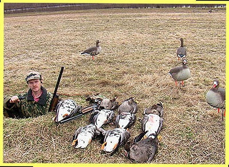 Укрытие для охоты на гуся