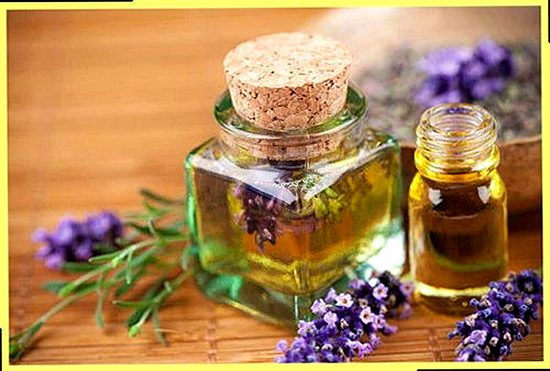 Масло шалфея полезные свойства