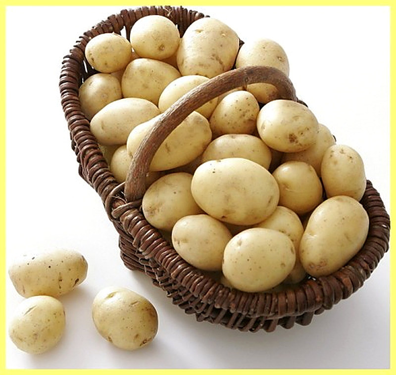 Как выбрать качественный картофель