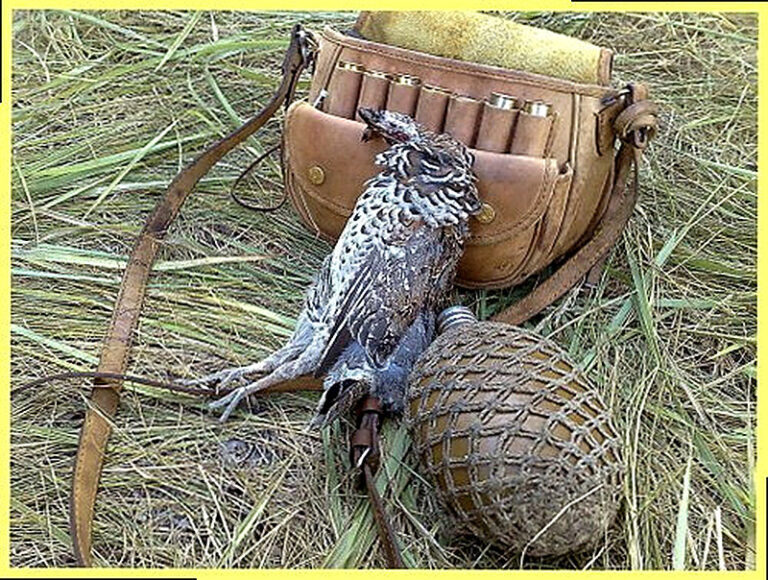 Охота на рябчиков весной