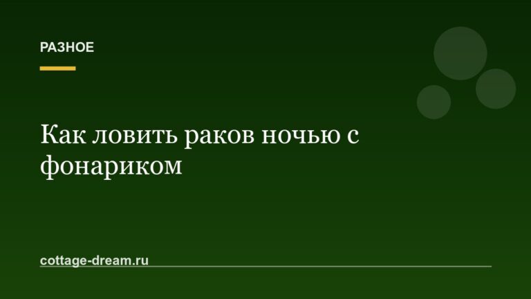 Как ловить раков ночью с фонариком