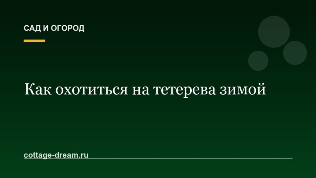 Как охотиться на тетерева зимой: подробное описание процесса