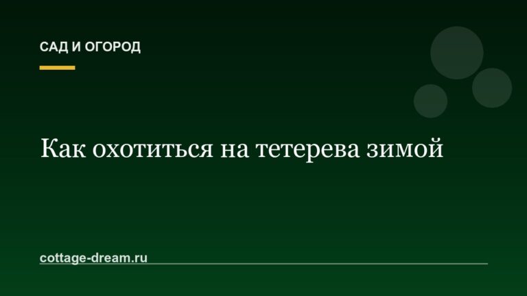 Как охотиться на тетерева зимой: подробное описание процесса