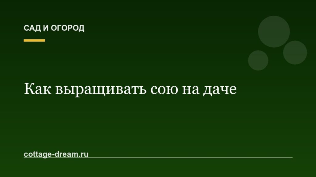 Как выращивать сою на даче