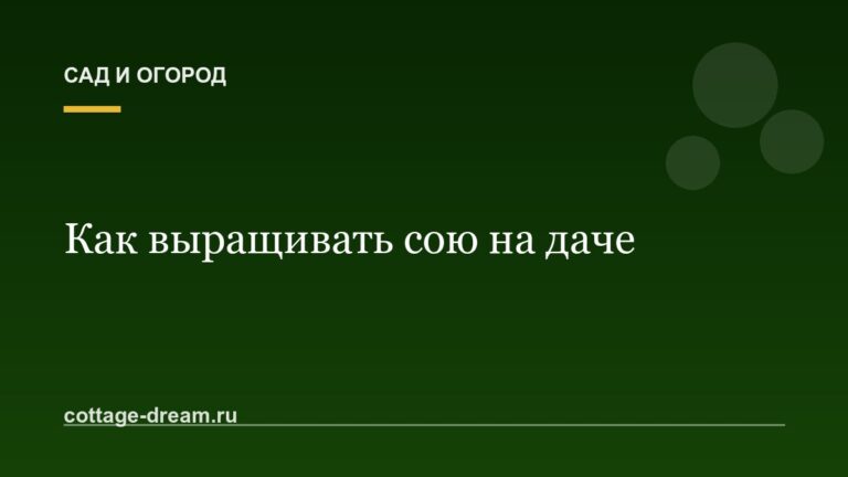 Как выращивать сою на даче