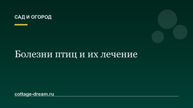 Болезни птиц и их лечение
