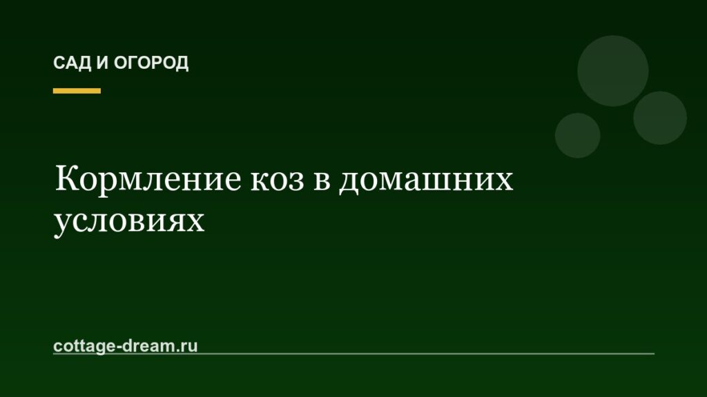 Кормление коз в домашних условиях