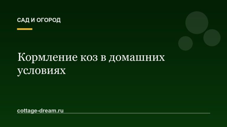 Кормление коз в домашних условиях