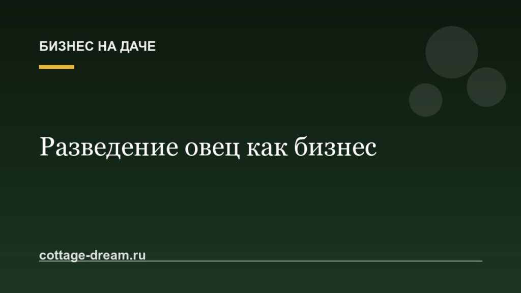Разведение овец как бизнес