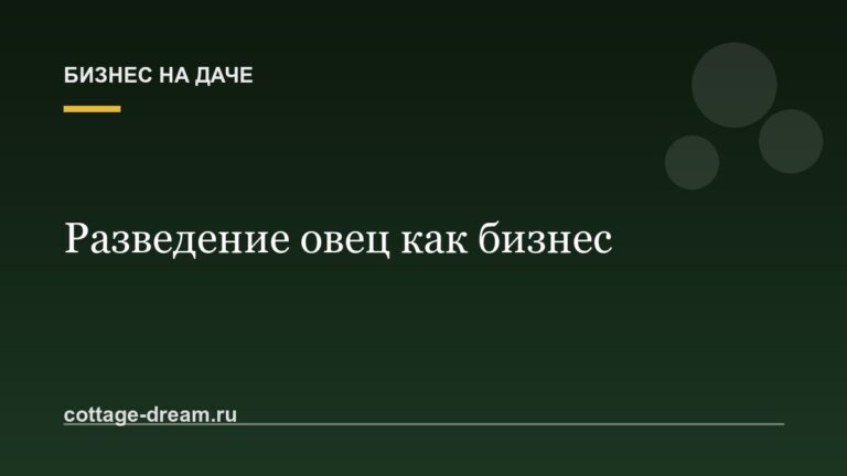 Разведение овец как бизнес