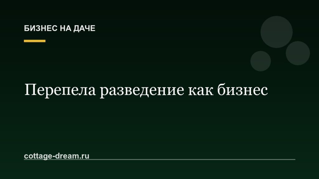 Перепела разведение как бизнес: с чего начать