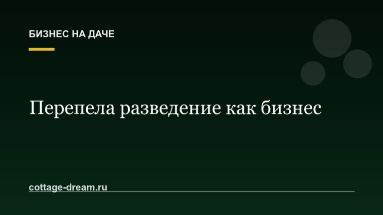 Перепела разведение как бизнес: с чего начать