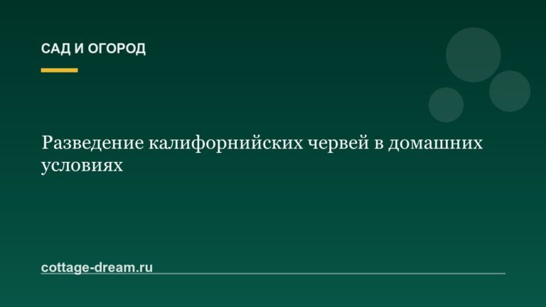 Разведение калифорнийских червей в домашних условиях
