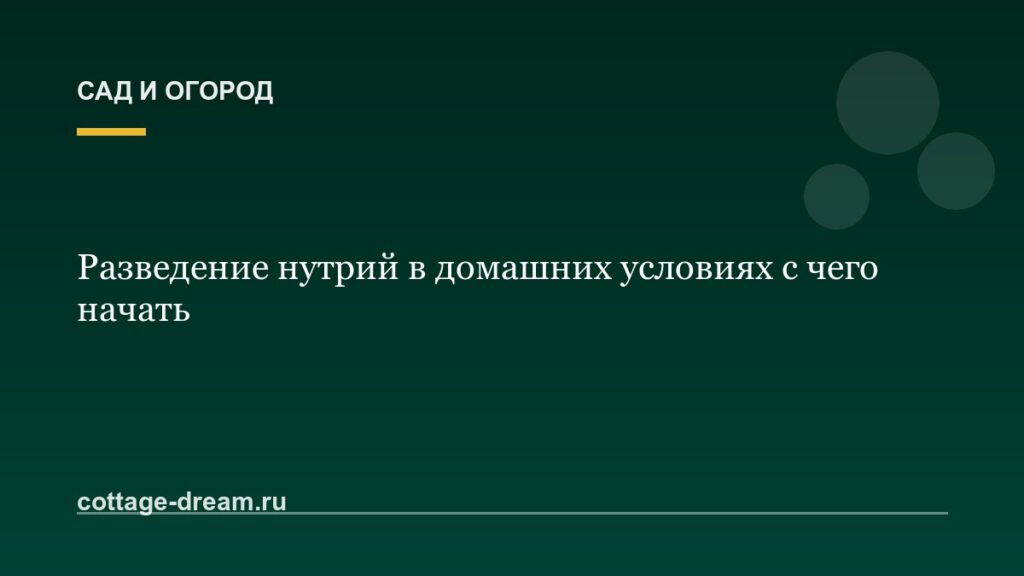 Разведение нутрий в домашних условиях с чего начать