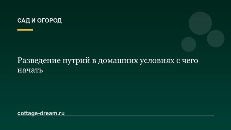 Разведение нутрий в домашних условиях с чего начать