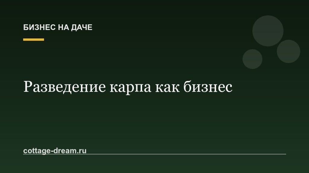 Разведение карпа как бизнес