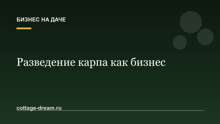 Разведение карпа как бизнес