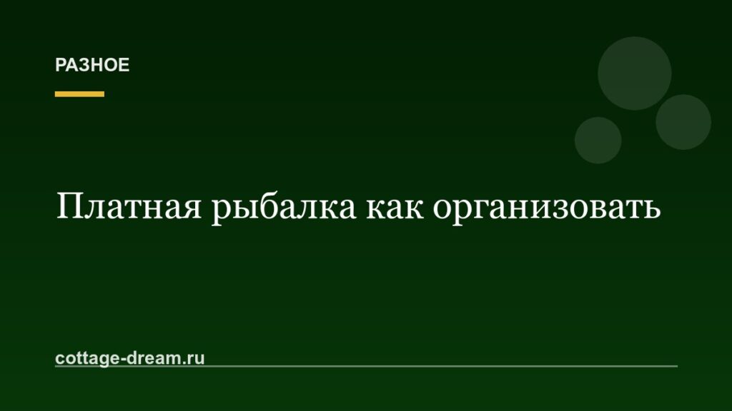 Платная рыбалка как организовать