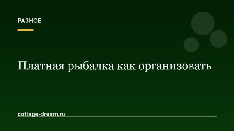 Платная рыбалка как организовать