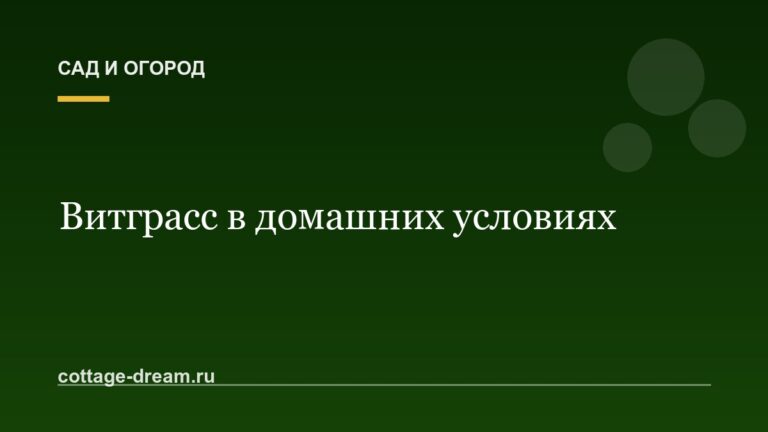 Витграсс в домашних условиях: фото приготовление
