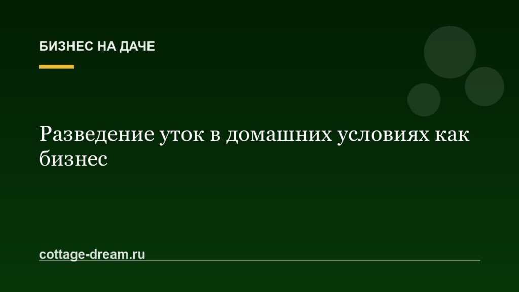 Разведение уток в домашних условиях как бизнес
