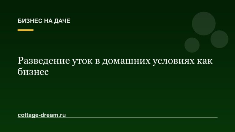 Разведение уток в домашних условиях как бизнес