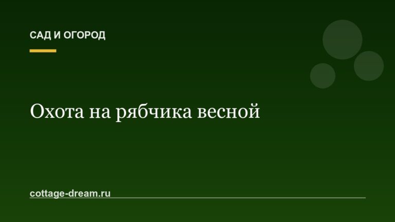 Охота на рябчика весной