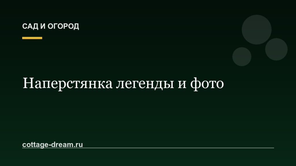 Наперстянка легенды и фото