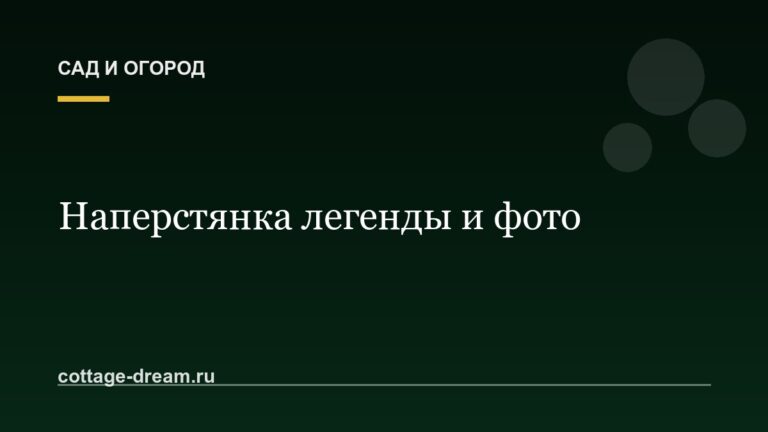 Наперстянка легенды и фото