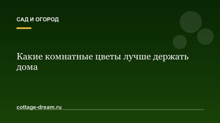 Какие комнатные цветы лучше держать дома