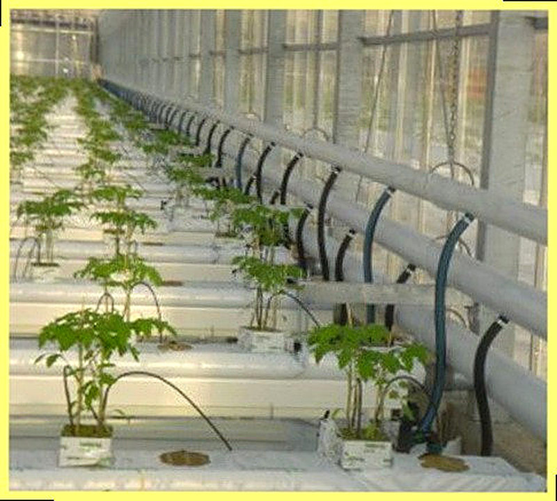 Система водяного отопления теплиц