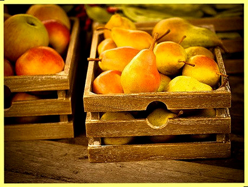 Хранение груш в домашних условиях