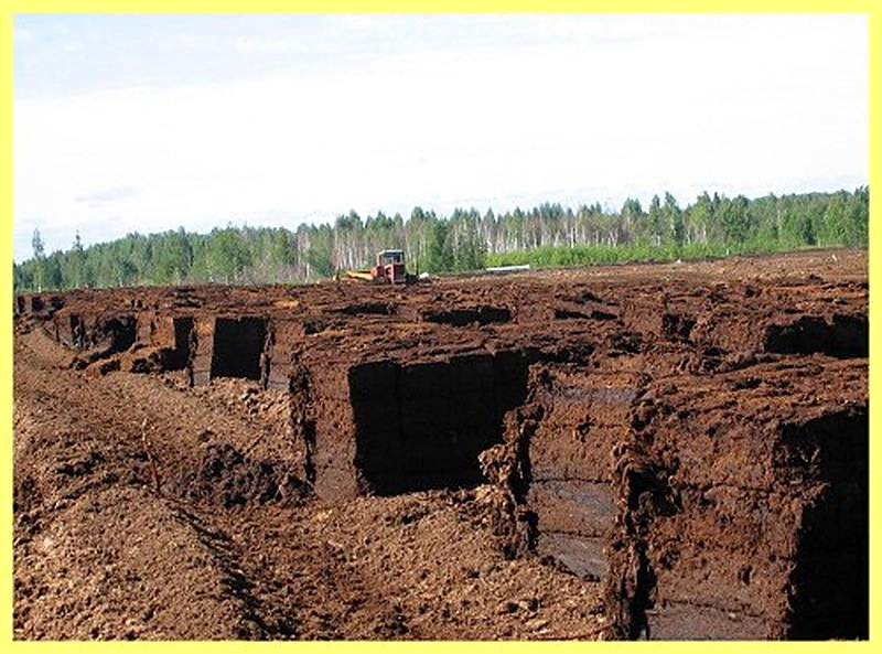 Производство биогумуса в домашних условиях