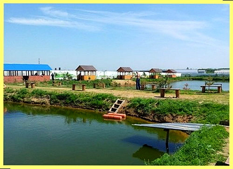 Как организовать платный пруд для рыбалки