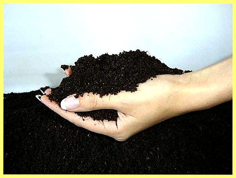 Производство биогумуса в домашних условиях