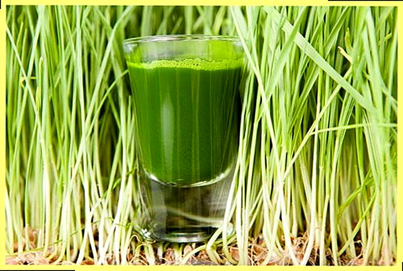 Витграсс что это