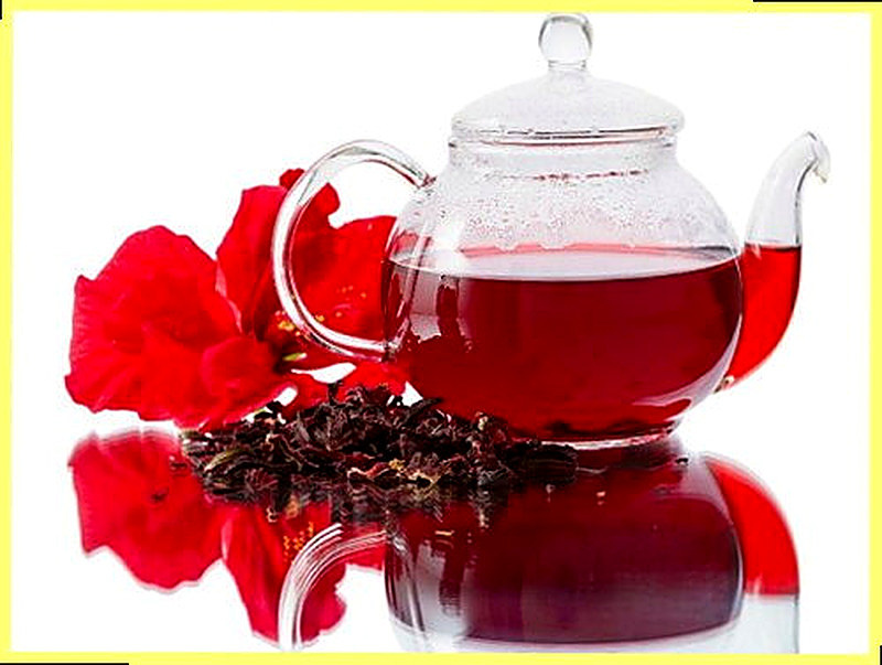 Чай из гибискуса полезные свойства