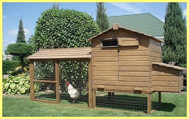 Как сделать курятник на даче своими руками
